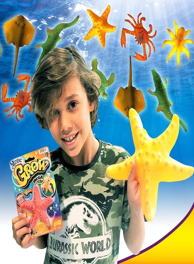 JA-RU Magic Grow Ocean Themed Water Animals (6 Packs Assorted) Beach Life Theme Toys | Bulk Expanding Bath and Pool Toys for Kids & Adults. Sea Creatures Party Toys and Goodie Bags. 302-6p - Image 4